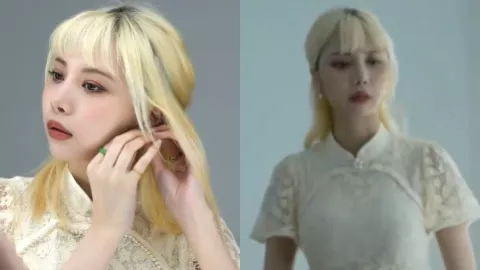 疯狂小杨哥