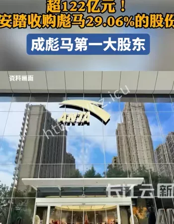 安踏成彪马股东